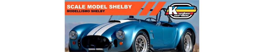 Acrylic water based shelby scale model paint